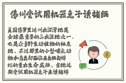 桃红色jeep官网